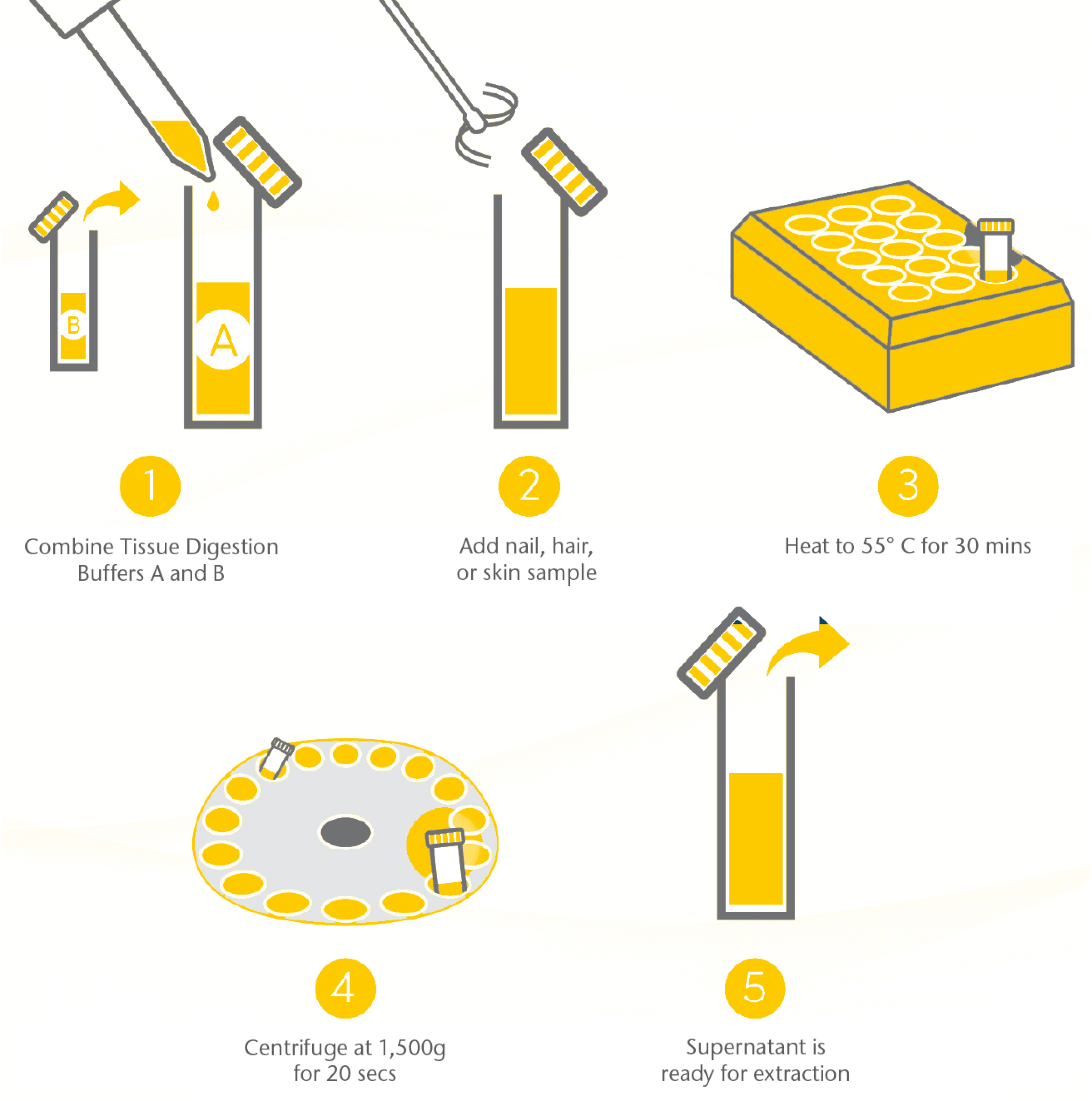 A step-by-step illustration of the Tissue Digestion Kit process, showing equipment used in sequential steps.