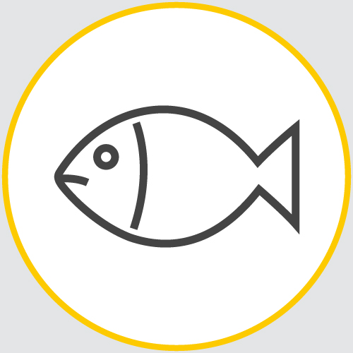 a drawing of the outline of a fish encased in a yellow circle