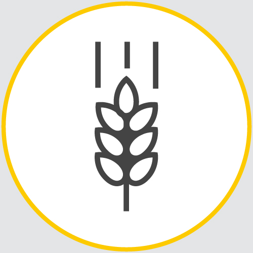 a drawing of the outline of a wheat stalk encased in a yellow circle