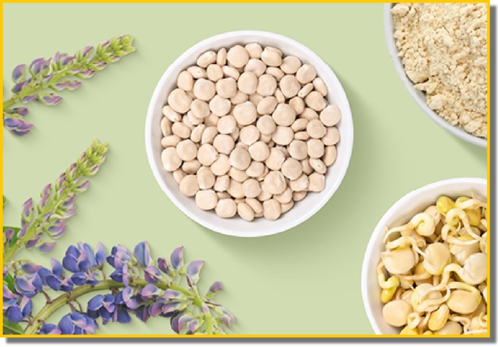 A colourful assortment of foods like nuts, land legumes next to purple flowers