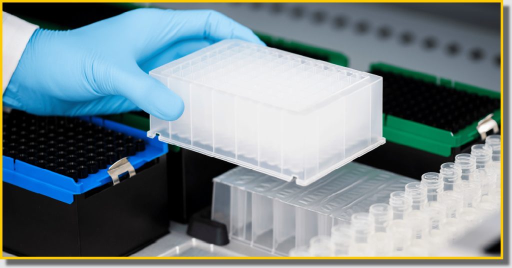 A person wearing blue gloves holds a clear plastic box, showcasing its contents.