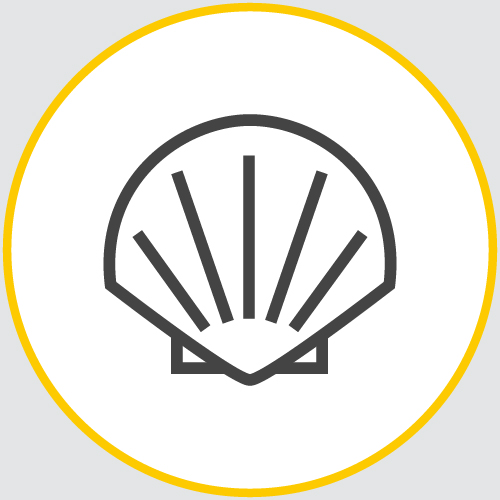 a drawing of the outline of a clam or oyster encased in a yellow circle