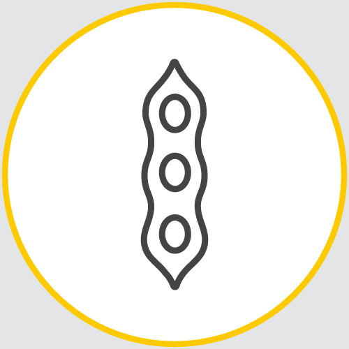 a drawing of the outline of a soybean encased in a yellow circle