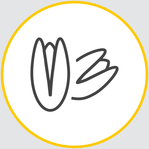 a drawing of the outline of a couple of partially opened nuts encased in a yellow circle