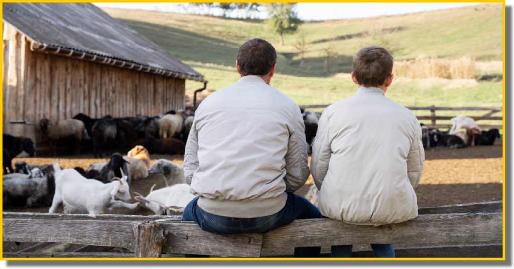 Two men sit on a fence, observing a group of goats in a pastoral setting.
