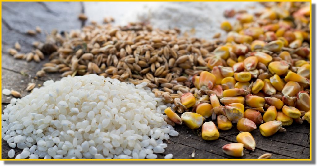 A variety of grains and seeds displayed together, showcasing different shapes, colours, and textures