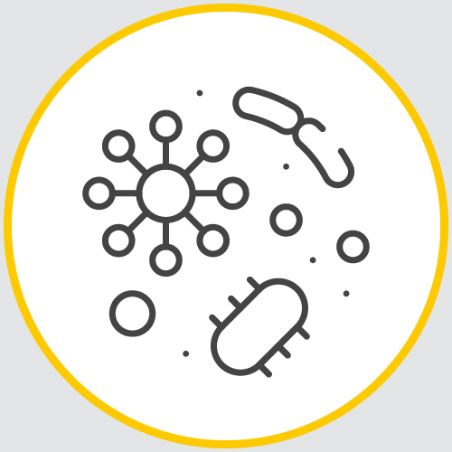 a drawing of the outline of a series of organisms encased in a yellow circle