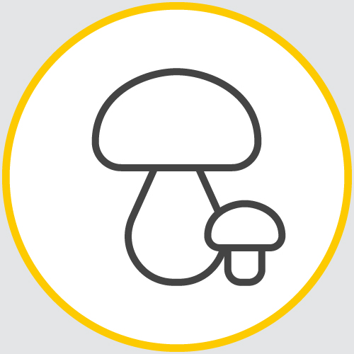 a drawing of the outline of a mushroom in a yellow circle