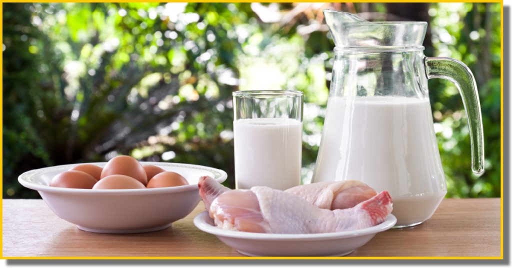 A table displaying eggs, a carton of milk, and a portioned raw chicken