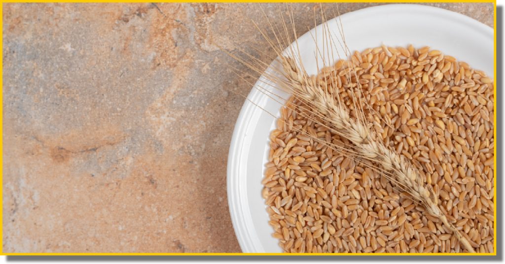 A bowl of barley with a stalk of wheat on a marble table
