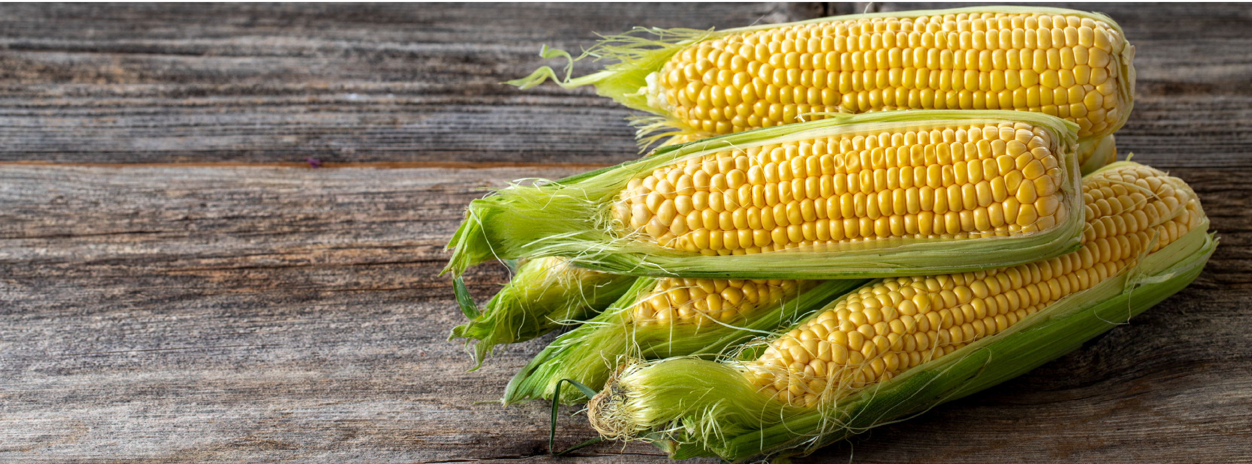 Fresh corn on the cob resting on a rustic wooden table