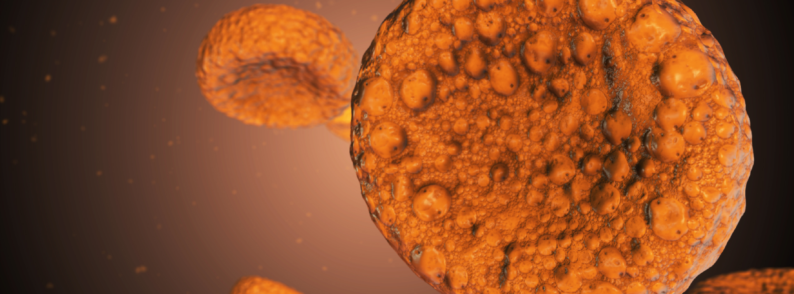 A cluster of orange cells illuminated against a dark background