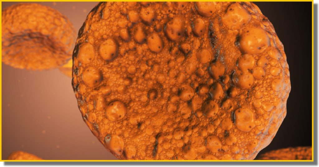 A cluster of orange cells illuminated against a dark background