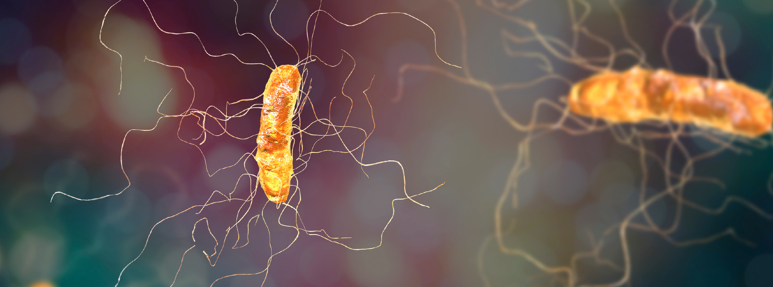 a microscopic view of two bacteria set on a multi-coloured background