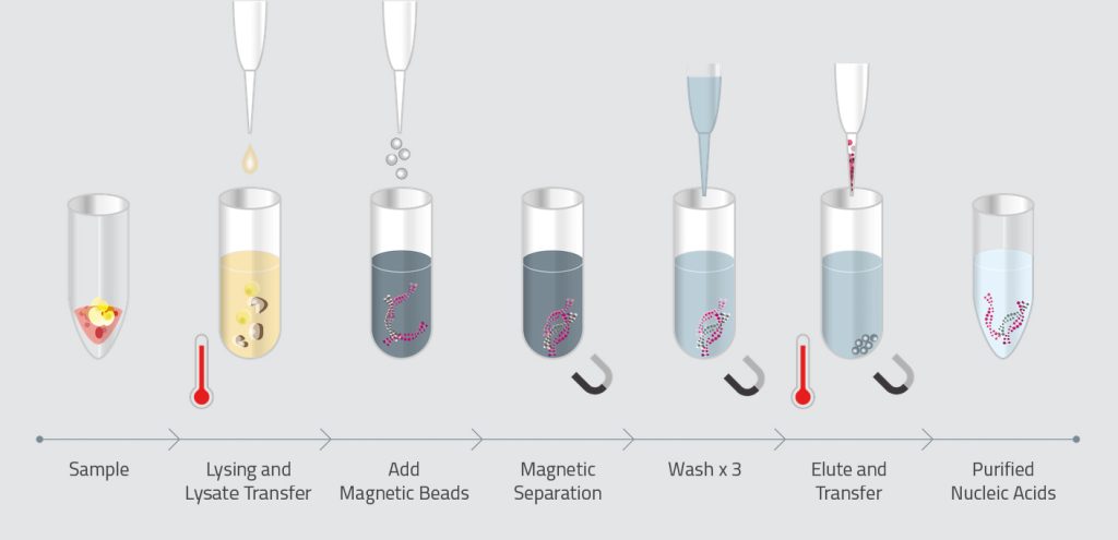 an illustration of a series of images along a timeline showing a sequential process