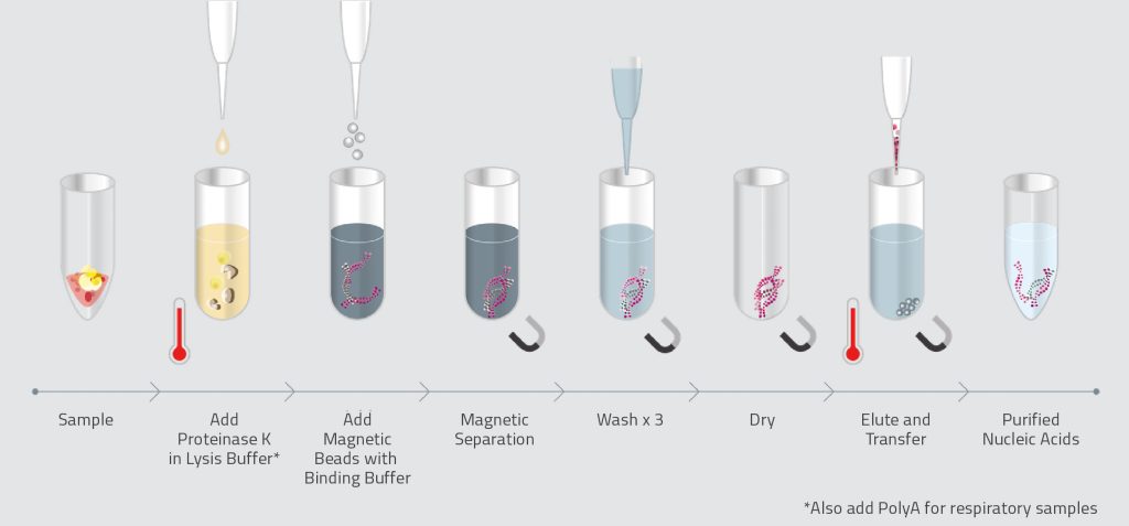 an illustration of a series of images along a timeline showing a sequential process