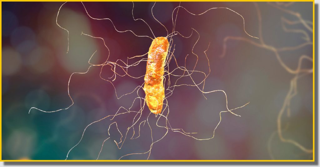 a microscopic view of two bacteria set on a multi-coloured background