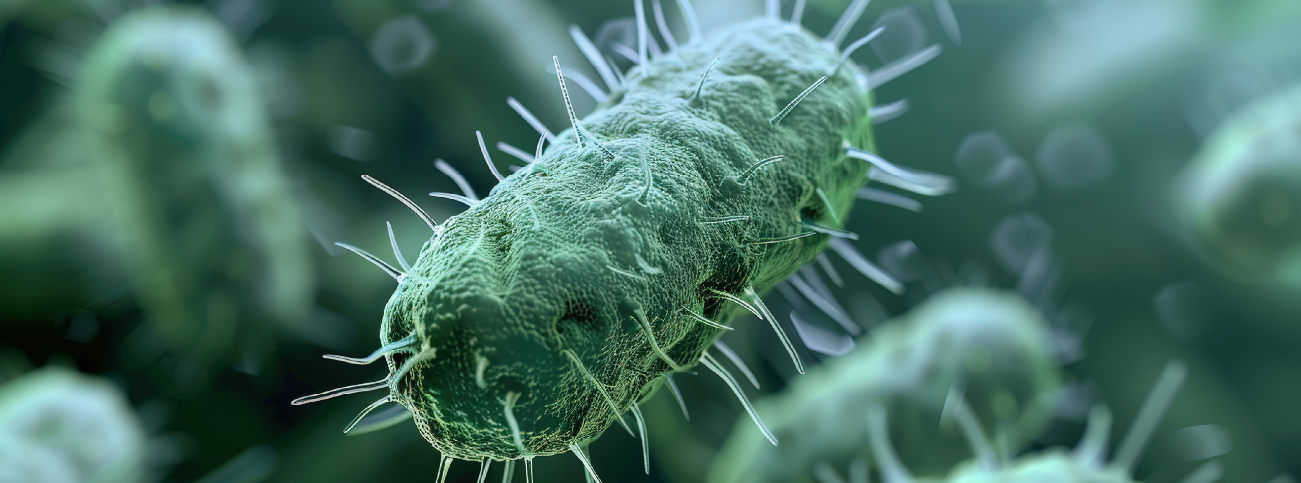 Microscopic view of bacteria thriving in a vibrant green environment, showcasing their natural habitat.